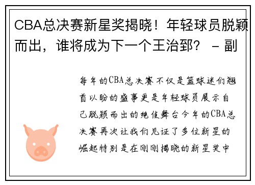 CBA总决赛新星奖揭晓！年轻球员脱颖而出，谁将成为下一个王治郅？ - 副本